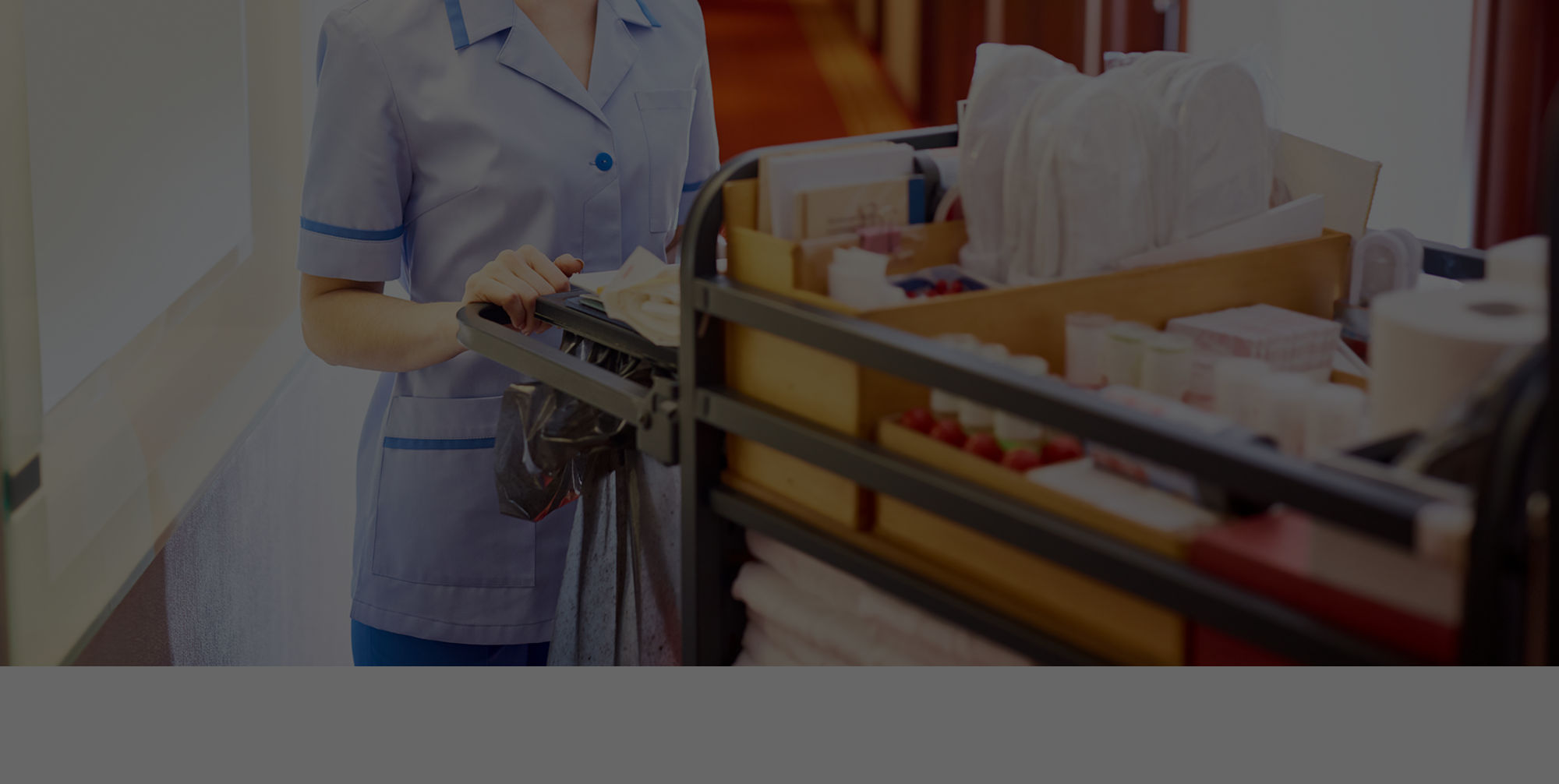 Systemy dozowania chemii