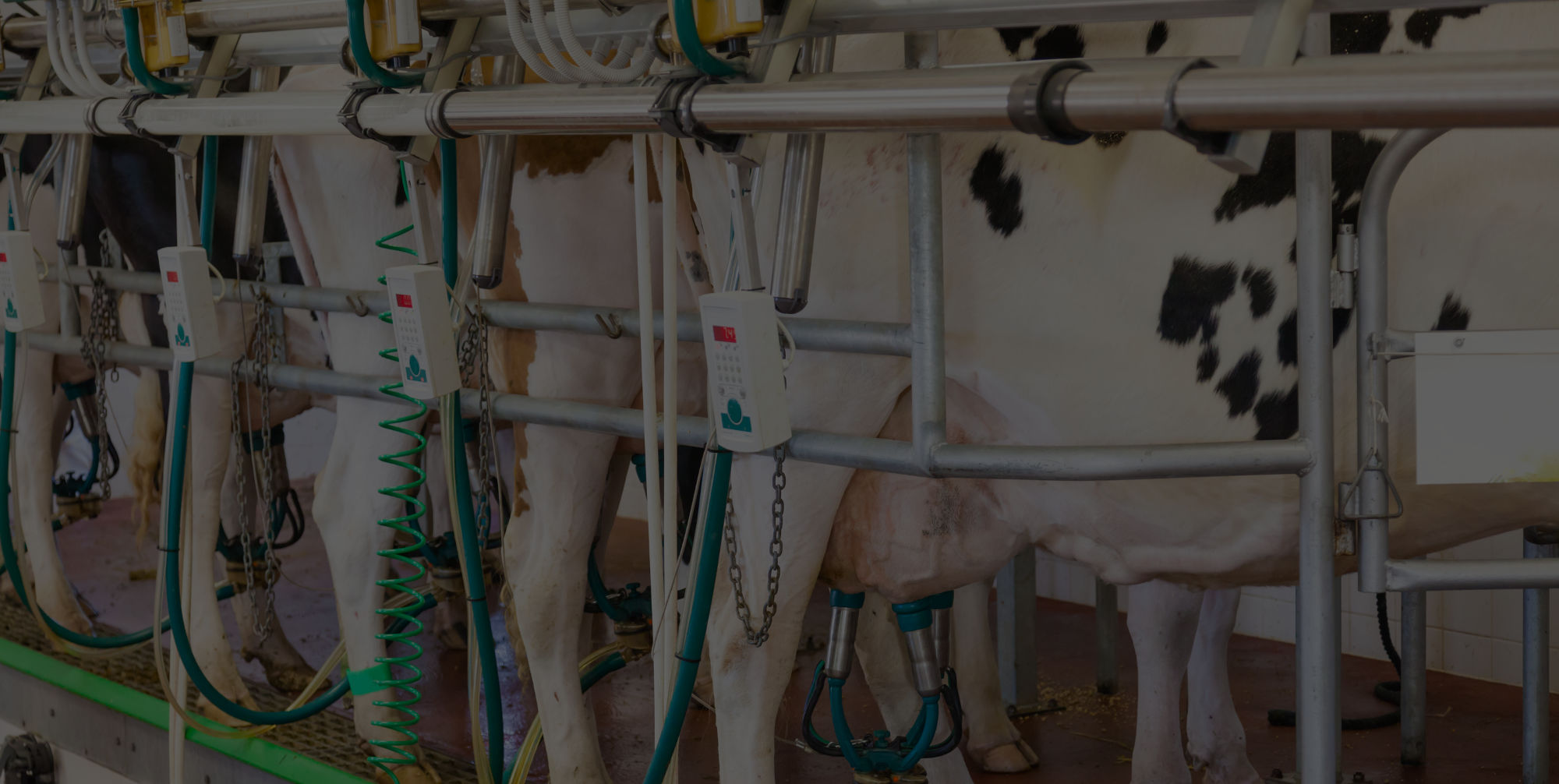 Systemy dozowania chemii